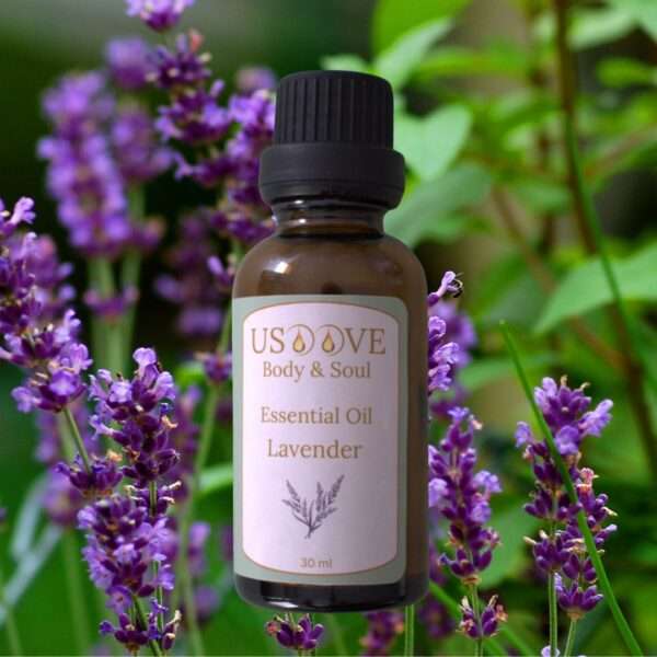 Lavender Essential Oil