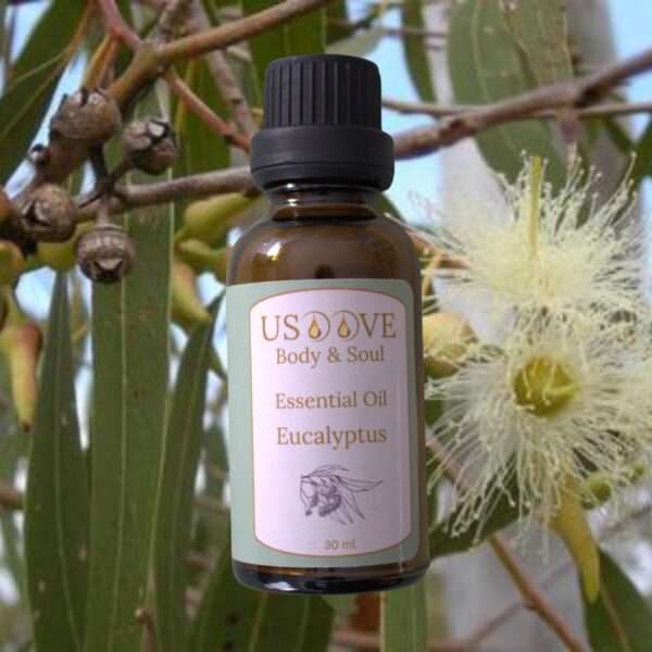 Eucalyptus Essential Oil