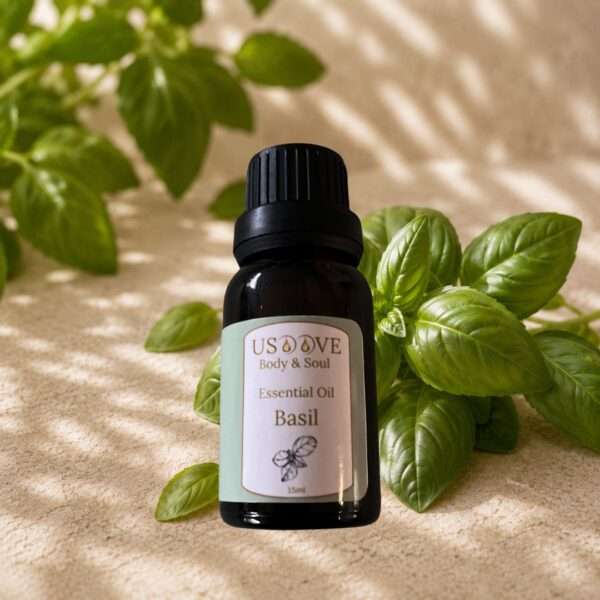 Basil Essential Oil 30mL amber bottle | Fresh herbal essential oil | USOOVE
